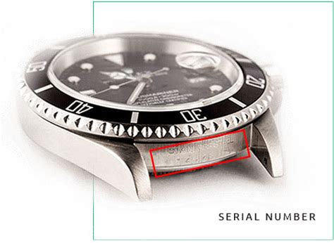 rolex replica ebay a napoli|rolex serial number lookup.